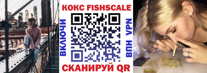 где купить   Буй  Кокаин Fish Scale 